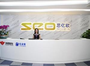 Focus on Google promotion for 17 years